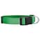 Native Pup Basic Nylon Dog Collar Adjustable for Small Medium Large pet and Puppies Accessories Cute Colors for Male Female boy Girl Puppy Medium Green