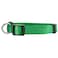 Native Pup Basic Nylon Dog Collar Adjustable for Small Medium Large pet and Puppies Accessories Cute Colors for Male Female boy Girl Puppy Medium Green