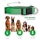 Native Pup Basic Nylon Dog Collar Adjustable for Small Medium Large pet and Puppies Accessories Cute Colors for Male Female boy Girl Puppy Medium Green