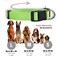 Native Pup Basic Nylon Dog Collar Adjustable for Small Medium Large pet and Puppies Accessories Cute Colors for Male Female boy Girl Puppy Medium Neon