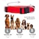 Native Pup Basic Nylon Dog Collar Adjustable for Small Medium Large pet and Puppies Accessories Cute Colors for Male Female boy Girl Puppy Medium Red