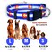 Native Pup Colorado State Flag Dog Collar Colorado Blue Medium