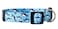 Native Pup Cute Animal Dog Collar Shark Pattern for Girl or Boy Dogs Adjustable Size Durable Nylon Sharks Medium
