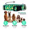 Native Pup Easter Dog Collar Cute Spring Gift for Puppies Pink Pastel Eggs Chicks Bunny Adjustable for Small Medium Large Breeds Chicks Small