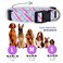 Native Pup Easter Dog Collar Cute Spring Gift for Puppies Pink Pastel Eggs Chicks Bunny Adjustable for Small Medium Large Breeds Pastel Small
