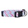 Native Pup Easter Dog Collar Cute Spring Gift for Puppies Pink Pastel Eggs Chicks Bunny Adjustable for Small Medium Large Breeds Pastel Small