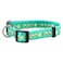Native Pup Flower Dog Collar Adjustable Small Medium Large Cute Girl Female Summer Spring Pretty Designer Puppy Essentials Accessories Pink Floral Blue Daisy Rose Large Avocado