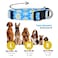 Native Pup Flower Dog Collar Adjustable Small Medium Large Cute Girl Female Summer Spring Pretty Designer Puppy Essentials Accessories Pink Floral Blue Daisy Rose Medium Blue Daisy