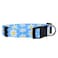 Native Pup Flower Dog Collar Adjustable Small Medium Large Cute Girl Female Summer Spring Pretty Designer Puppy Essentials Accessories Pink Floral Blue Daisy Rose Medium Blue Daisy