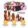 Native Pup Maryland Flag Dog Collar Maryland Large