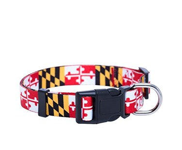 Native Pup Maryland Flag Dog Collar Maryland Large
