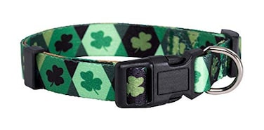 Native Pup St Patricks Dog Collar Saint Patrick Green Shamrock Pet Collars St Patricks Lucky Irish Cute Boy Girl Puppy Gift Adjustable for Small Medium Large Breeds Argyle Medium