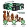 Native Pup St Patricks Dog Collar Saint Patrick Green Shamrock Pet Collars St Patricks Lucky Irish Cute Boy Girl Puppy Gift Adjustable for Small Medium Large Breeds Argyle Small