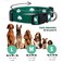 Native Pup St Patricks Dog Collar Saint Patrick Green Shamrock Pet Collars St Patricks Lucky Irish Cute Boy Girl Puppy Gift Adjustable for Small Medium Large Breeds Shamrock Large