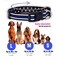 Native Pup Thin Blue Line Dog Collar Stars Large