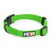 Pawtitas Solid Color Green Puppy or Dog Collar XSmall