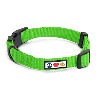 Pawtitas Solid Color Green Puppy or Dog Collar XSmall