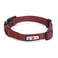 Pawtitas Solid Color Marsala Brown Puppy or Dog Collar XSmall