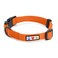 Pawtitas Solid Color Orange Puppy or Dog Collar XSmall
