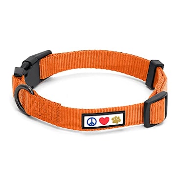 Pawtitas Solid Color Orange Puppy or Dog Collar XSmall