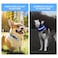 PcEoTllar Light up Dog Collar for Night Walking LED Dog Collar Light Rechargeable Color Changing Glow in the Dark Dog Collars Waterproof Glowing Dog Collars for Large Small Medium Dogs