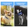 PcEoTllar Light up Dog Collar for Night Walking LED Dog Collar Light Rechargeable Color Changing Glow in the Dark Dog Collars Waterproof Glowing Dog Collars for Large Small Medium Dogs