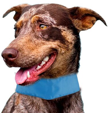 Pet Life SummerCooling Insert Able and Adjustable Cooling Ice Pack Dog Neck Wrap