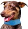 Pet Life SummerCooling Insert Able and Adjustable Cooling Ice Pack Dog Neck Wrap