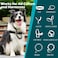 PetBonus Dog Collar Safety Clip Handmade Backup Safety Strap for Dog Harness Prong Pinch Collar Double Ended Clasp Leash Connector Black