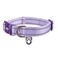 Petiry Reflective Nylon Dog Collar with Breathable Neoprene PaddingAdjustable for Medium DogsNeck 13189Lilac Purple
