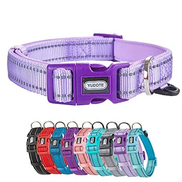 Petiry Reflective Nylon Dog Collar with Breathable Neoprene PaddingAdjustable for Medium DogsNeck 13189Lilac Purple