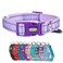 Petiry Reflective Nylon Dog Collar with Breathable Neoprene PaddingAdjustable for Medium DogsNeck 13189Lilac Purple