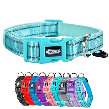 Petiry Reflective Nylon Dog Collar with Breathable Neoprene PaddingAdjustable for Small Dogs9815Teal