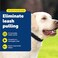 PetSafe Soft Point Training Collar No Pull Training Collar for Dogs Rubber Soft Points Large 1 in Black