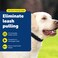 PetSafe Soft Point Training Collar No Pull Training Collar for Dogs Rubber Soft Points Large 1 in Black
