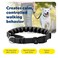PetSafe Soft Point Training Collar No Pull Training Collar for Dogs Rubber Soft Points Large 1 in Black