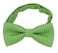 Heypet Puppy Kitten Collar Bow Tie Small Cat Dogs Neck Bowtie Adjustable for Wedding Birthday DDT1 Green with White Polka Dots St Patricks