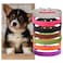 Luck Dawn Puppy ID Collars Soft Leather Dog Collar14 Colors PU Leather Adjustable Dog Cat Collars for Dog Small Large Cat Collars Newborn Puppies Kitten S059145 Flat14 Colors