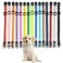 Luck Dawn Puppy ID Collars15 PCS Identification Soft Nylon Puppy Collars Adjustable Breakaway Safety Whelping Litter Collars for Newborn Puppies Kitten Set of 15 Round Button S Pack of 15