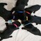 Luck Dawn Puppy ID Collars15 PCS Identification Soft Nylon Puppy Collars Adjustable Breakaway Safety Whelping Litter Collars for Newborn Puppies Kitten Set of 15 Round Button S Pack of 15