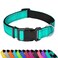 PWOD Reflective Dog Collar Adjustable Soft Neoprene Padded Nylon Pet Collars with Buckle for Small Dogs TealS