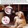 QQPETS Adjustable Soft Dog Collar Print Flower Pink Multicolor Cute Patterns for XS Small Medium Large Pet Girl Boy Puppy Walking Running Training M Sakura Pink