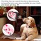 QQPETS Adjustable Soft Dog Collar Print Flower Pink Multicolor Cute Patterns for XS Small Medium Large Pet Girl Boy Puppy Walking Running Training M Sakura Pink