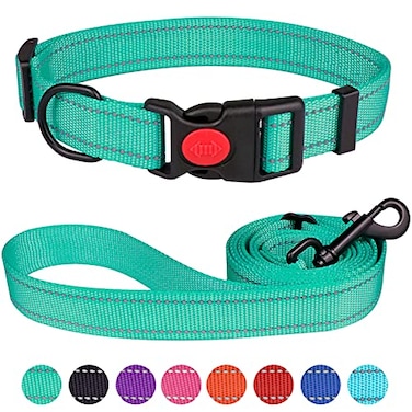 Stpiatue Reflective Dog Collar and Leash Set with Safety Locking Buckle Nylon Pet Collars Adjustable for Small Medium Large Dogs 4 SizesMint GreenM