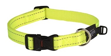 Rogz Reflective Dog Collar for Large Dogs Adjustable from 1322 inches Yellow