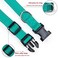 BOOMIBOO Reflective Dog Collar with Buckle Adjustable Safety Nylon Collars for Small Medium Large Dogs Green S