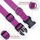 BOOMIBOO Reflective Dog Collar with Buckle Adjustable Safety Nylon Collars for Small Medium Large Dogs Purple M