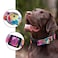 Rhea Rose Dog Collar for Large Dogs Floral Pattern for Girl boy Dogs Large