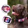 Rhea Rose Dog Collar Special Design Personalized Cute Girl Soft Collars Sunflower Medium