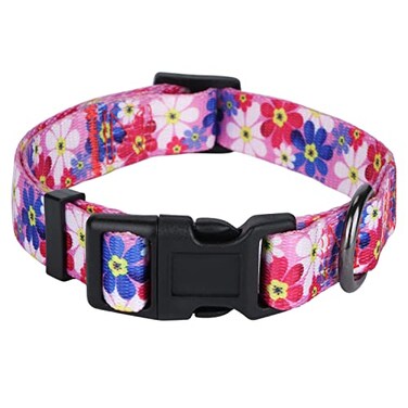 Rhea Rose Dog Collar Special Design Personalized Cute Girl Soft Collars Sunflower Medium